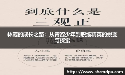 雷竞技raybet电子竞技平台