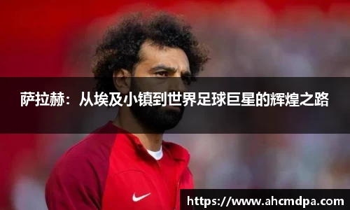 雷竞技raybet官网